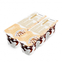 VASITO NATA CARAMELO 6X120ML