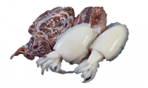 GR. SEPIA G CON PIEL