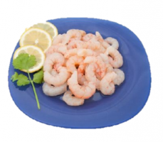 GAMBA PELADA 10/30 BOLSA GUILLEM