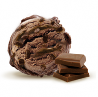 GR. 5L CHOCOLATE